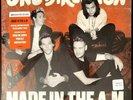 One Direction Made In The Am Blue Translucent Vinyl Record New Urban Outfitters