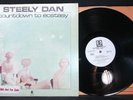 HTF classic rock LP STEELY DAN Countdown to Ecstasy WHITE-LABEL PROMO insert E/V