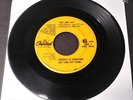 Rare 45 rpm rock promo giveaway BEACH BOYS Salt Lake City/Amusement Parks 1/1000