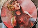 The Hunger Games Catching Fire (Original Soundtrack) 2013 Picture Disc Vinyl
