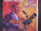 MUDDY WATERS: sweet home chicago QUICKSILVER 12