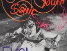 Sonic Youth - EVOL (Vinyl LP - 1986 - US - Reissue)