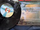 Impact All Stars - Forward the Bass Dub from Randy's 1972 -75 Blood & Fire Vinyl