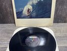 The Rising Surf Richie Allen & Pacific Surfers 1963 Imperial LP 9229