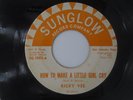 Ricky Vee How to make a little girl Cry Sunglow 1002 Northern Soul VG