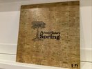 American Spring - American Spring 1972 UK LP VG+/NM (Brian Wilson Beach Boys)