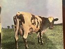 Pink Floyd Atom Heart Mother 1st UK Issue A1 G-B1 G RARE Label Mispress  VG-/VG-