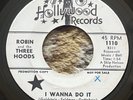 PRIVATE 1966 PROMO Garage Rock 45  Robin & Three Hoods 