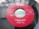 Tarheel Slim - Wildcat Tamer c/w Number 9 Train 1958 USA 45 FURY 1st