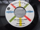 Jimmy Lloyd - I Got A Rocket In My Pocket 1958 USA 45 ROULETTE 1st ROCKABILLY