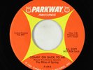 Garage Fuzz 45 - Rites Of Spring - Comin' On Back To Me - Parkway