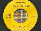 THE YOUNG ONES - A Lovely Sunday / RARE OLDIES LATIN SOUL CURACAO 45 PRIVATE