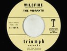 Surf Inst. 45 - Vibrants - Wildfire/Scorpion - Triumph VG+