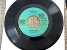 DELEGATION: oh honey / let me take you to the sun SHADYBROOK 7