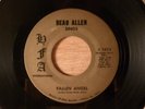 Beau Allen Fallen Angel/Georgia Ground Garage, Psych 1970 HFA International