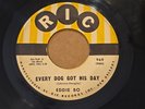 RARE NEW ORLEANS SOUL FUNK R&B 45 EDDIE BO EVERY DOG GOT HIS DAY RIC NEAR MINT