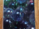 Seam - The Problem With Me - Vinyl Record
