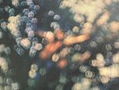 Pink Floyd/Obescured By Clouds SHSP4020 Used LP