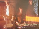 The Walker Brothers - After The Lights Go Out - The Best Of 1965-1967 (LP, Comp)
