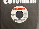 Bruce Springsteen Blinded By The Light Rare Stereo / Mono Promo Columbia 45