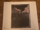 Pixies – Surfer Rosa - 1988 UK Ex 12 
