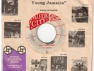 #210  SKA 1965 ORIG MUZIK CITY LABEL THE WAILERS 
