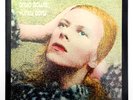 DAVID BOWIE Hunky Dory glam rock french 1981 RCA Vicor 443041 vinyl LP
