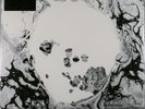 Radiohead – A Moon Shaped Pool (2LP) White vinyl, Mint, sealed
