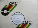 BRUCE SPRINGSTEEN - Human Touch - Rare ZIMBABWE ZMC/ Company Sampler LP - NM