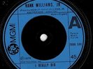 Hank Williams Jr. - I Really Did (7