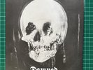THE DAMNED  STRETCHER CASE BABY STIFF RARE ORIGINAL PUNK GIG FREEBIE PS 45