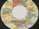 Inner Life: Moment Of My Life 45 - Salsoul - Promo - Soul Disco Boogie