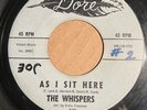 Whispers 1965 SOUL DOO WOP 45 As I Sit Here / Shake It Shake DORE VG+