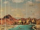 YOUNG GUN SILVER FOX - Pleasure - LP NEU