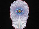 Young Widows/Sweet Cobra Live At Three Floyds Brewing (Vinyl)