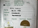 Hello Seahorse, Arunima, 2013 Double Master Vinyl Record Metal Pressing Plates