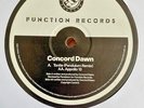Concord Dawn – Tonight Pendulum Remix / Apollo 13 12” Drum & Bass Jungle Vinyl