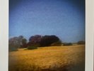 Sun Kil Moon - Benji (2025, 3 x Vinyl, LP, Album, Reissue, Blue/Yellow Swirled)