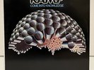 Ramp - Come Into Knowledge - Vinyl Record LP Roy Ayers