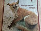 Furry Lewis LP Presenting The Country Blues UK Blue Horizon 1st Press BEAUTIFUL