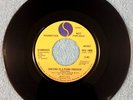 1977 Ramones - Sheena Is A Punk Rocker - Sire SRE 1006 PROMO Punk 45 rpm 7