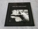Joy Division –Love Will Tear Us Apart -1985 UK Repress Misprint Vinyl 12