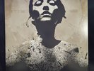 Converge Jane Doe Double Lp Deathwish/Equal Vision Recs. W/ Insert NM