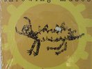 Throwing Muses - Hunkpapa  #25855 VG+ - FREE SHIPPING