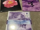 STONE TEMPLE PILOTS - Live In New 25,24 & Nirvana Post
