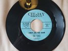 45 RPM THE VINES/I MUST SEE YOU AGAIN/LOVE SO SWEET    CEE-JAY 582    VG++