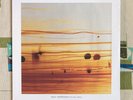 Skuli Sverrisson with Bill Frisell SEALED LP Strata M/M