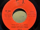 MONSTER BOOGIE 45 / Disco / BREAKS James Thomas / Windy City Love Theme CJ Hear