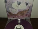 SIGNED Margot & The Nuclear So and So’s - The Dust of Retreat Purple Vinyl