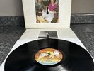 LP VINYL LED ZEPPELIN ALBUM PRESENCE SSK 59402 UK IST PRESS EMBOSSED 1976 EX/VG+
